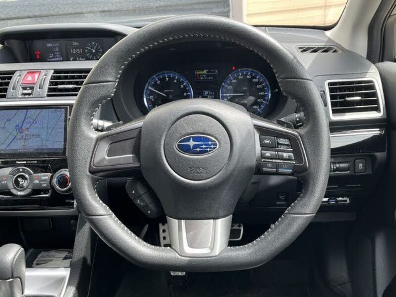 LEVORG