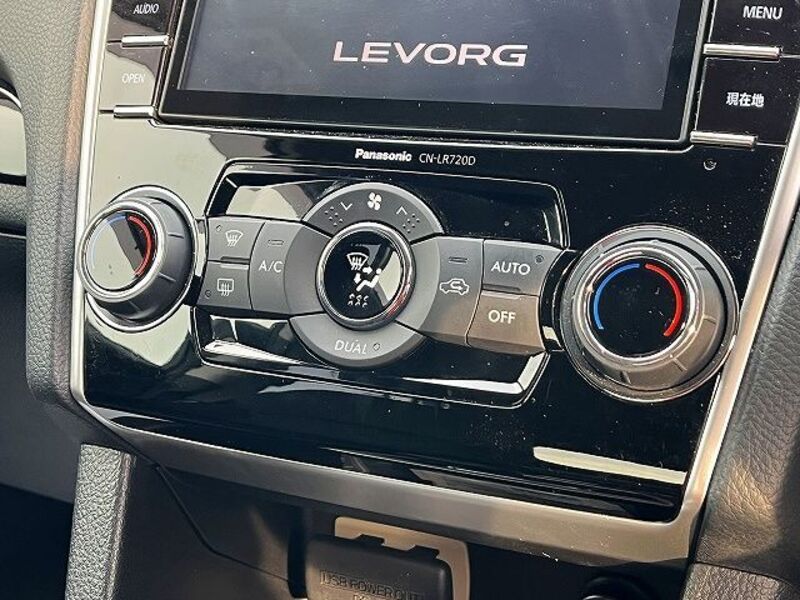 LEVORG