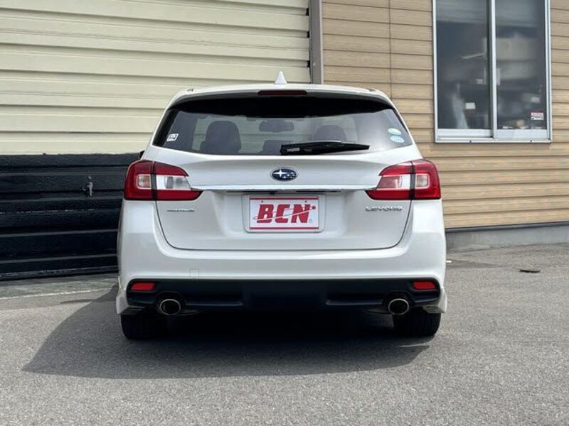 LEVORG