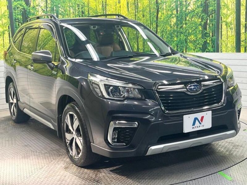 FORESTER