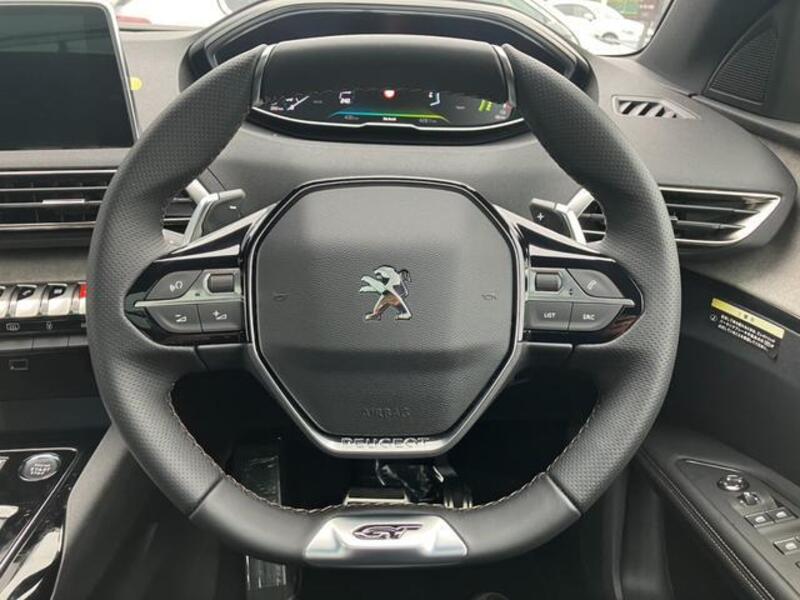 3008