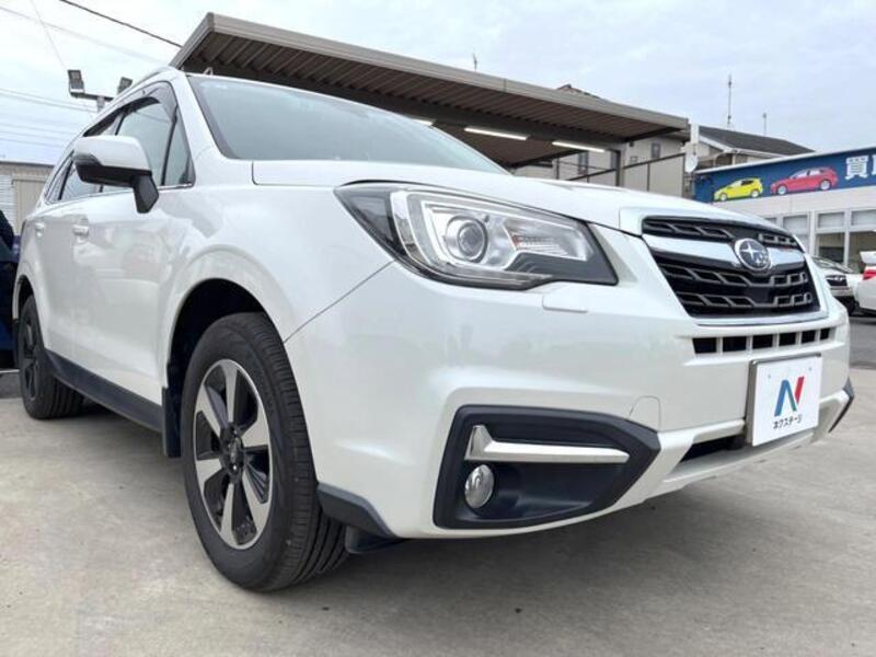 FORESTER