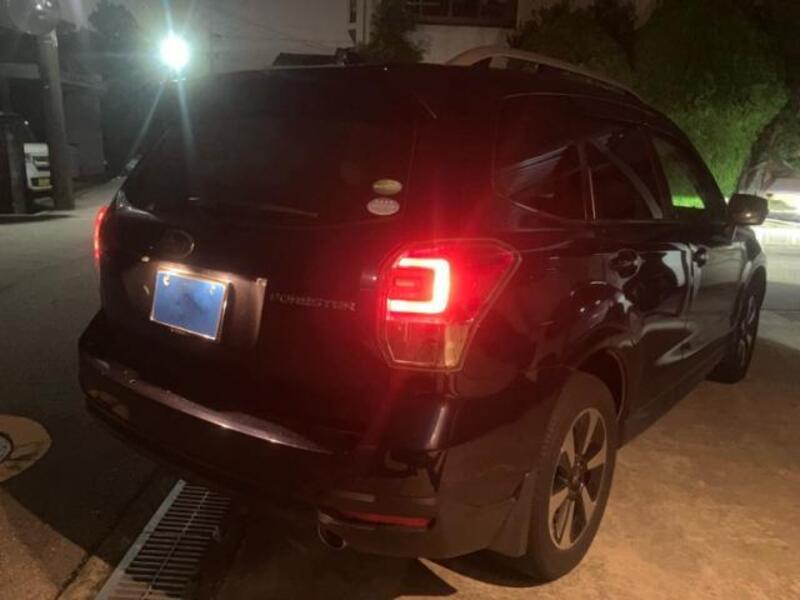 FORESTER