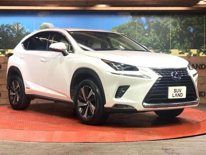NX