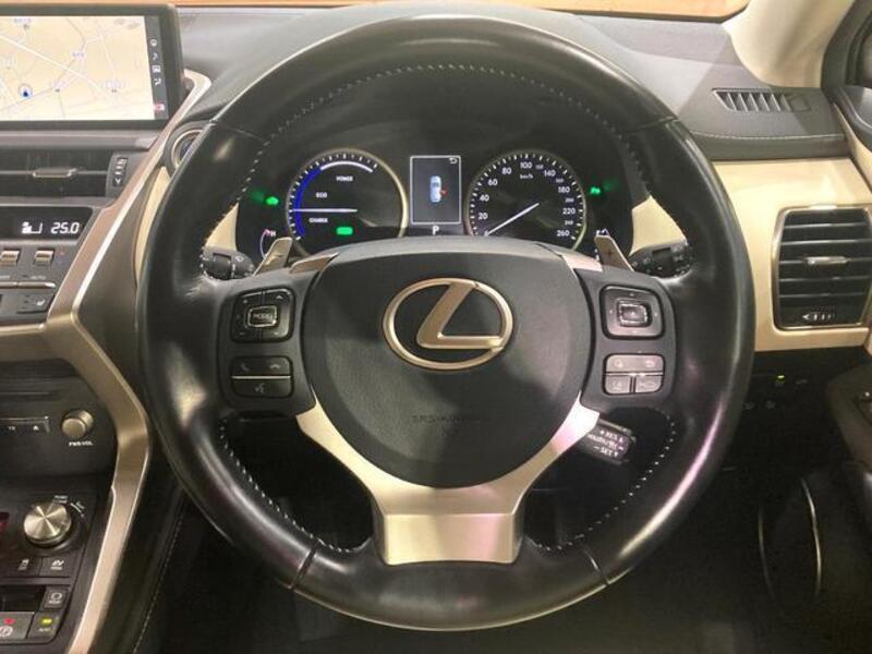 NX
