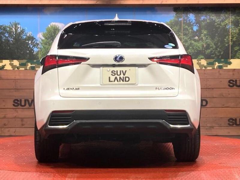 NX
