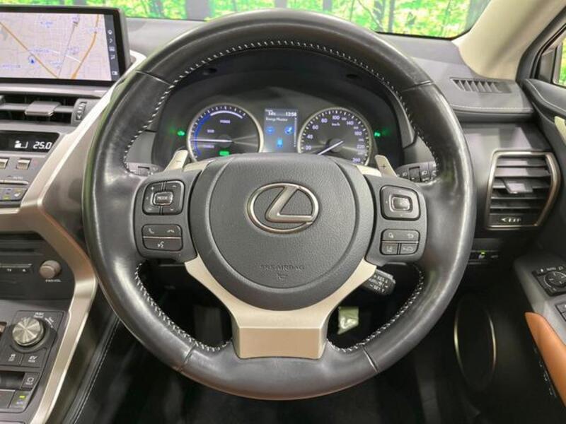 NX