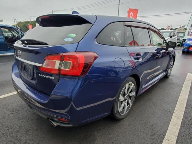 LEVORG