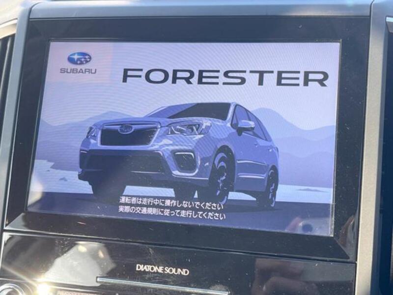 FORESTER