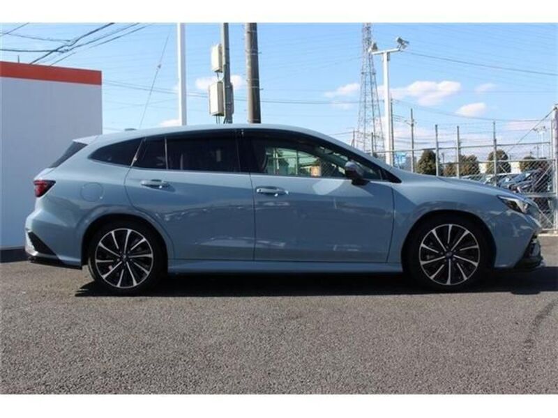LEVORG