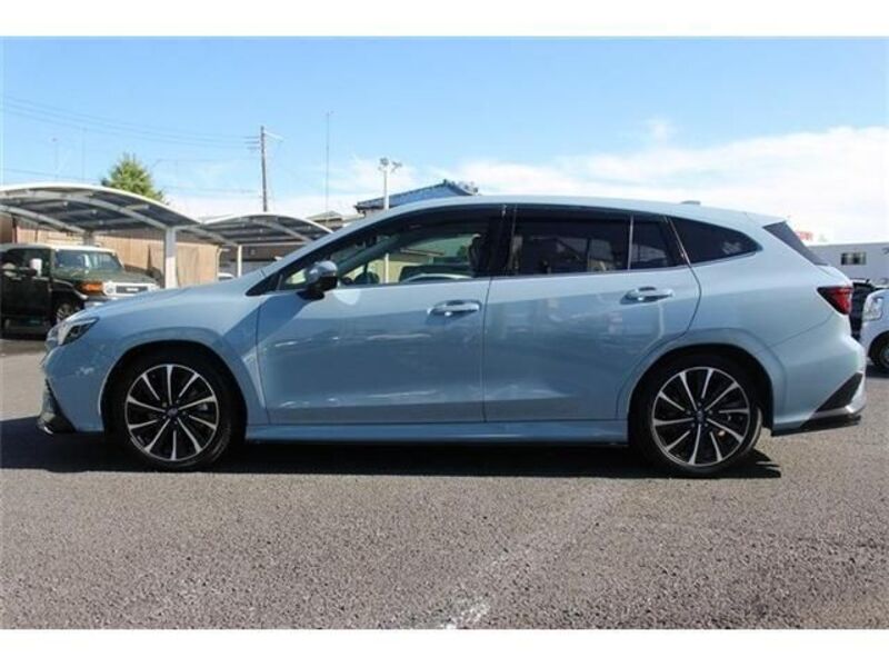 LEVORG
