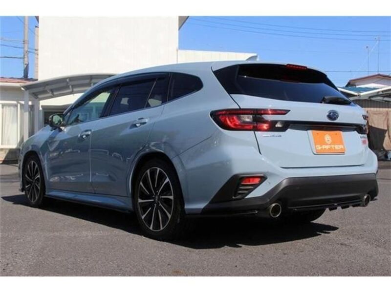 LEVORG