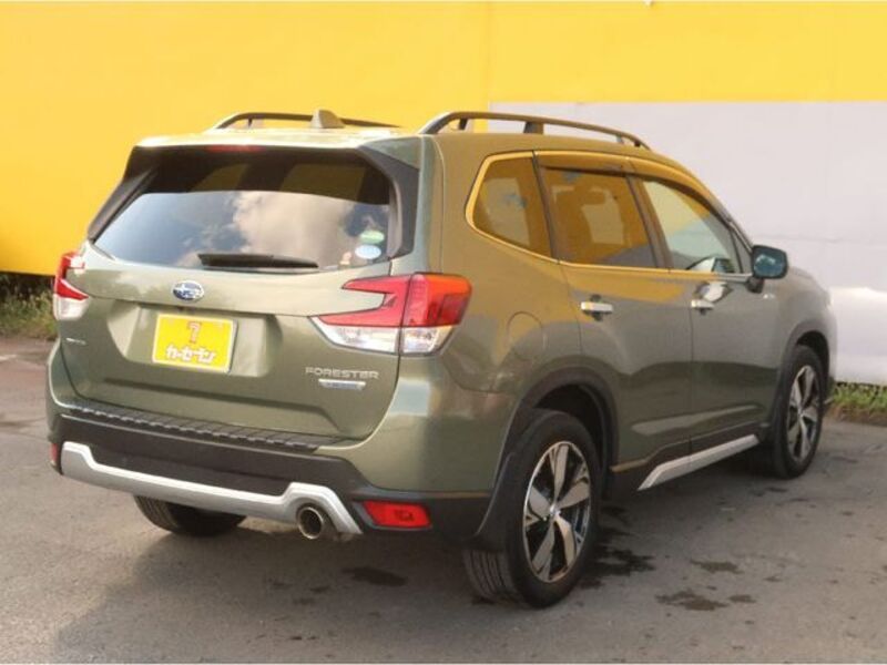 FORESTER