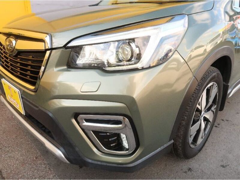 FORESTER