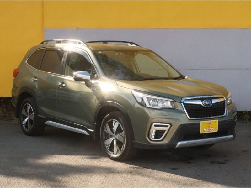 FORESTER