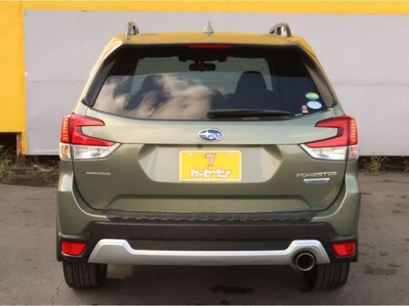 FORESTER