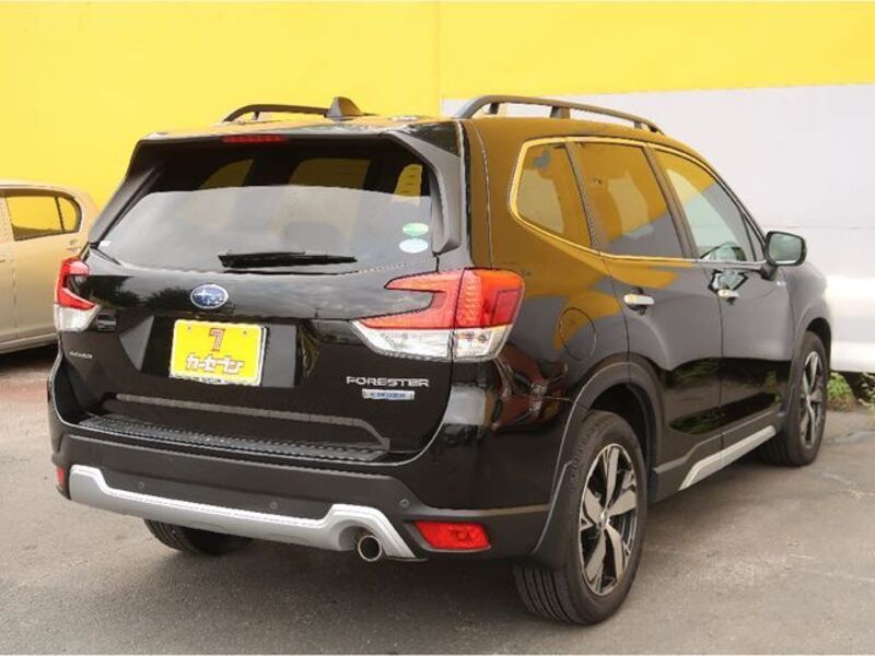 FORESTER