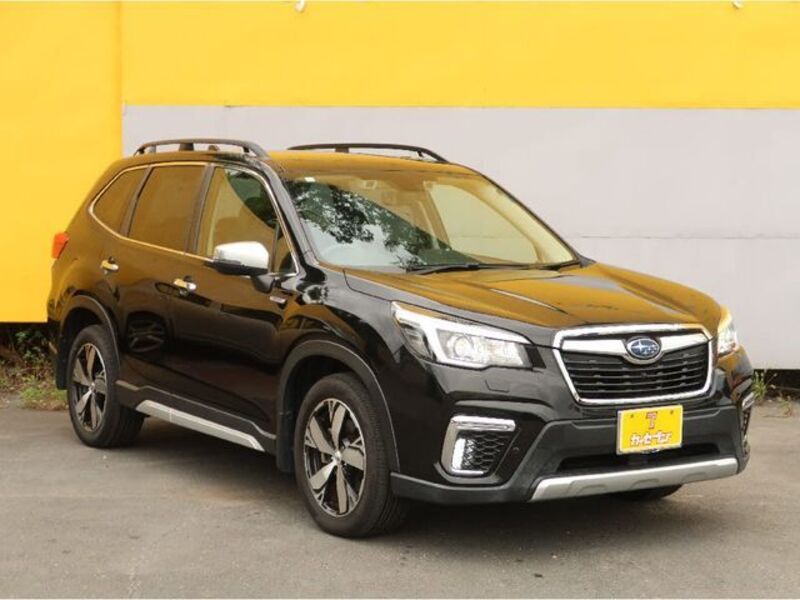 FORESTER