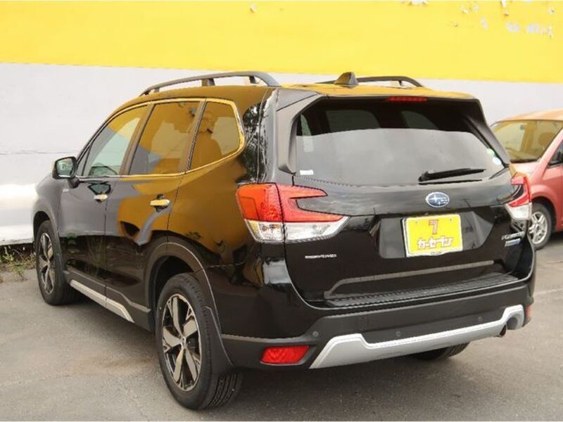 FORESTER