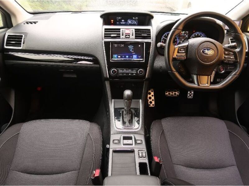 LEVORG