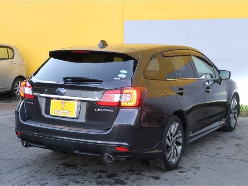 LEVORG