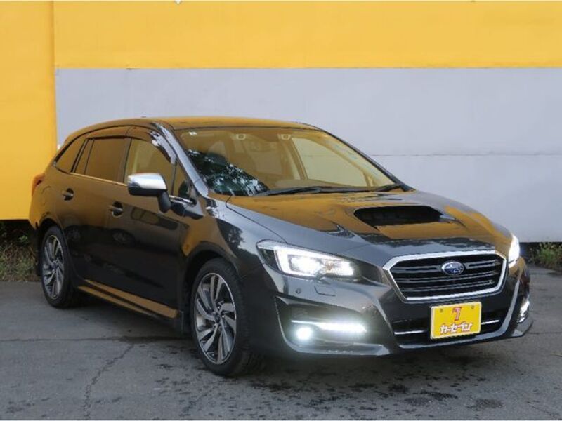 LEVORG