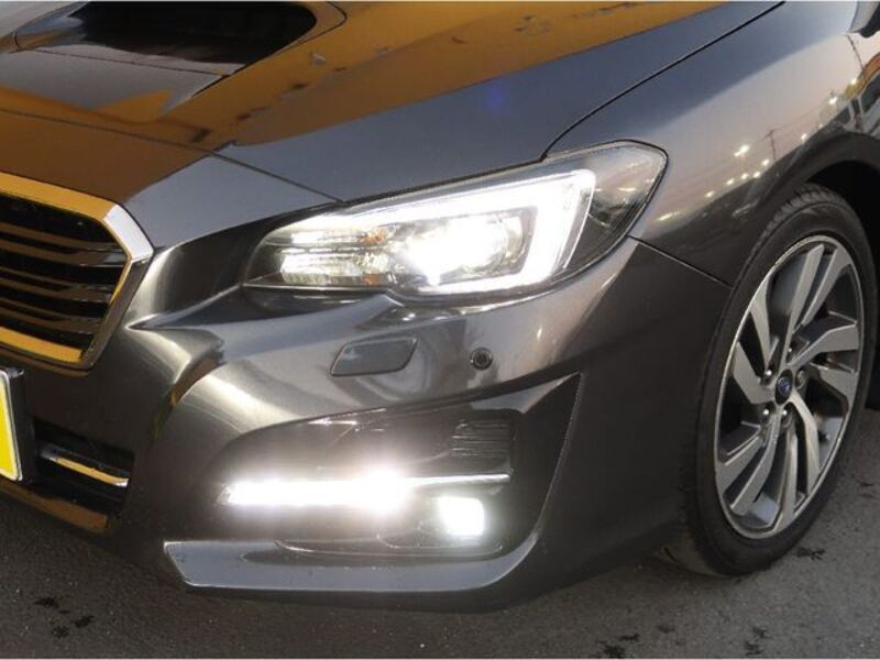 LEVORG