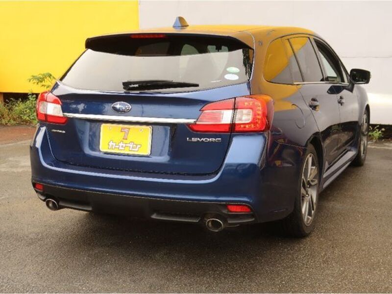 LEVORG