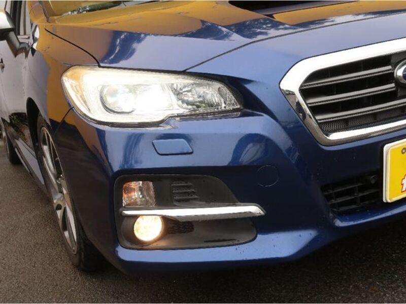 LEVORG