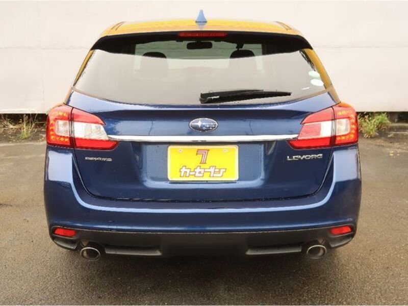 LEVORG