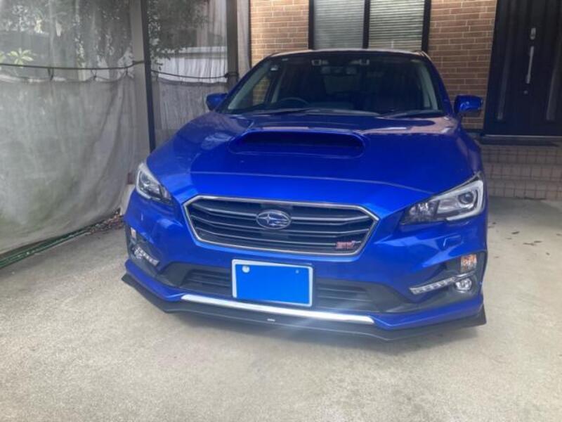 LEVORG-0