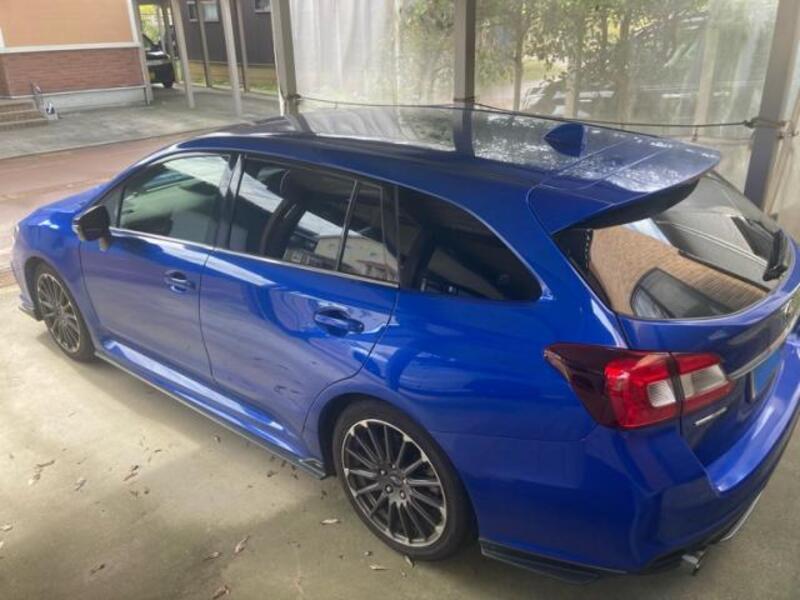 LEVORG