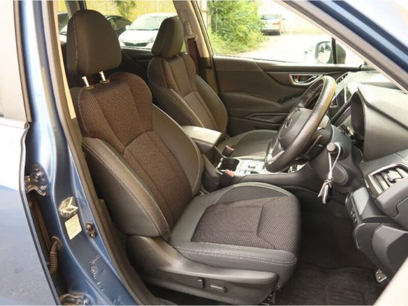 FORESTER