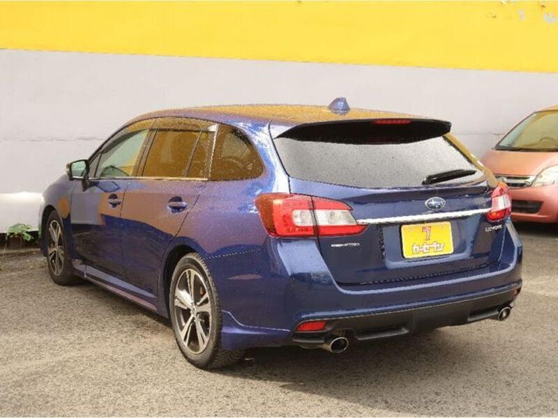 LEVORG