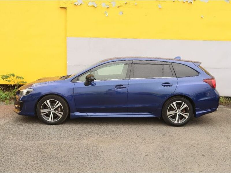 LEVORG