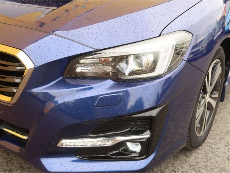 LEVORG