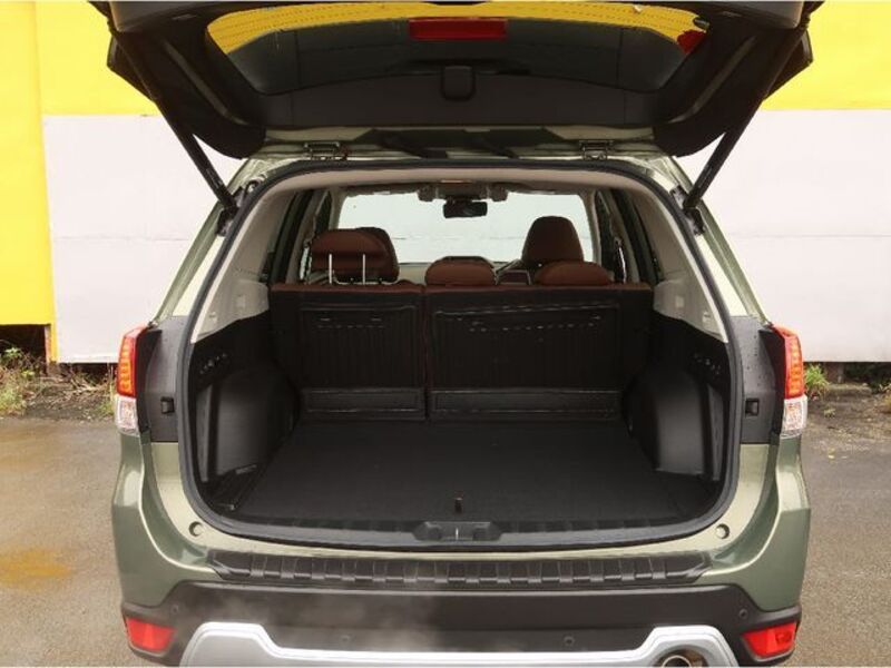 FORESTER