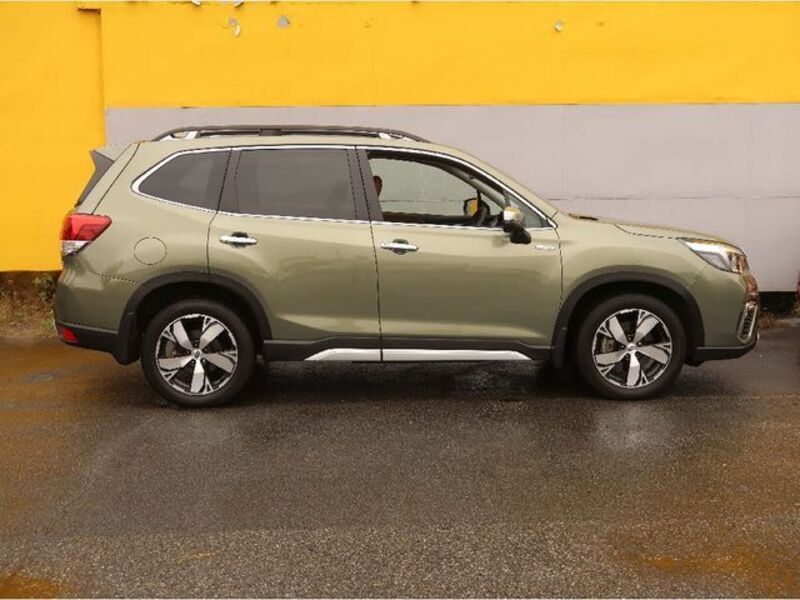 FORESTER