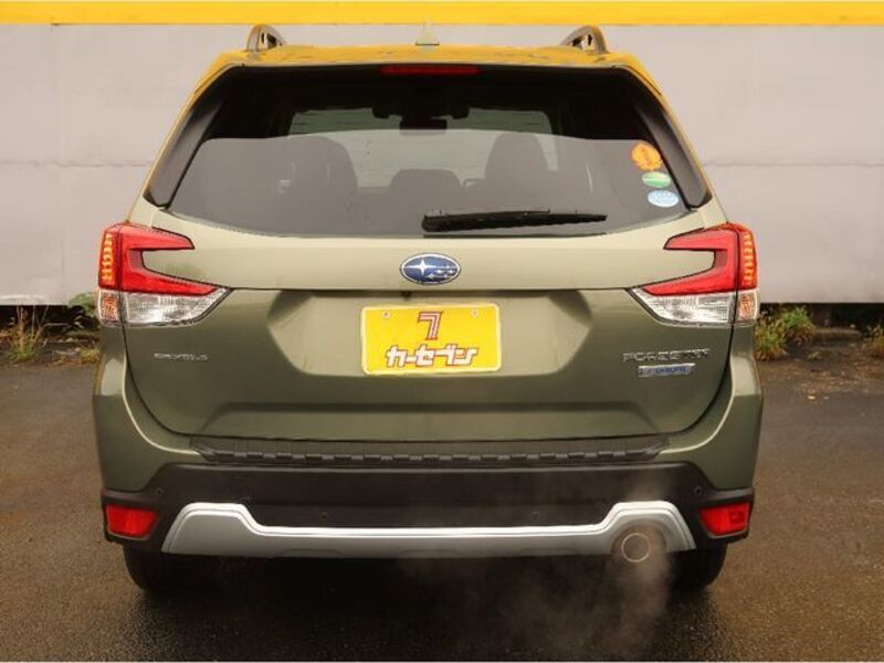 FORESTER