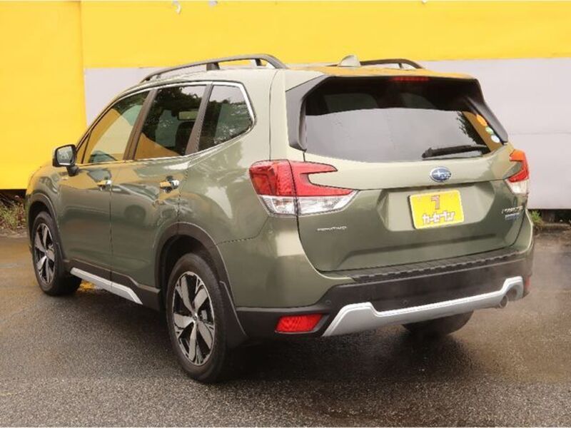 FORESTER