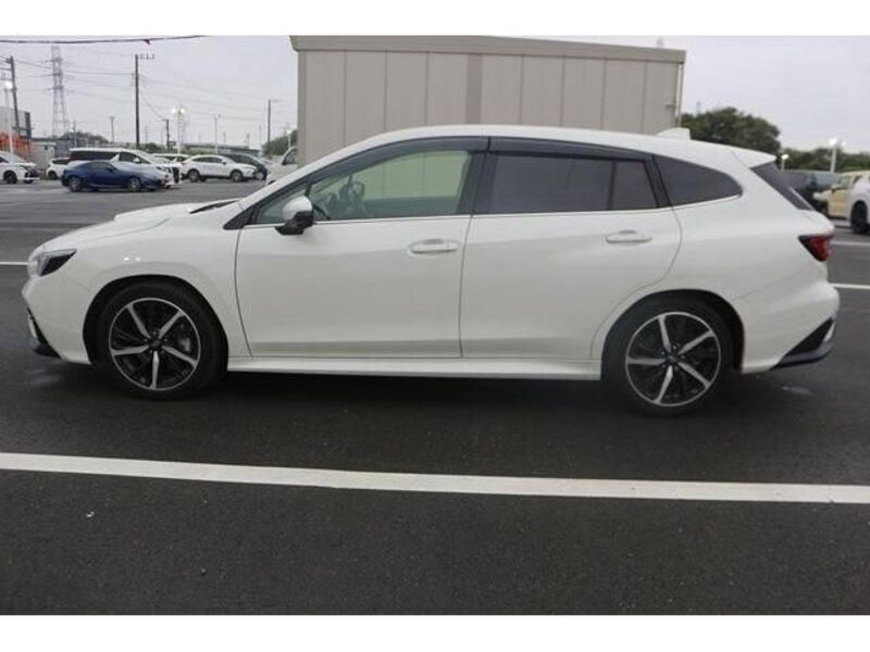 LEVORG