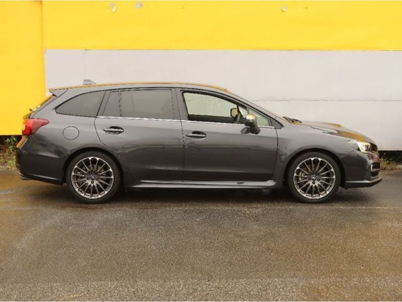 LEVORG