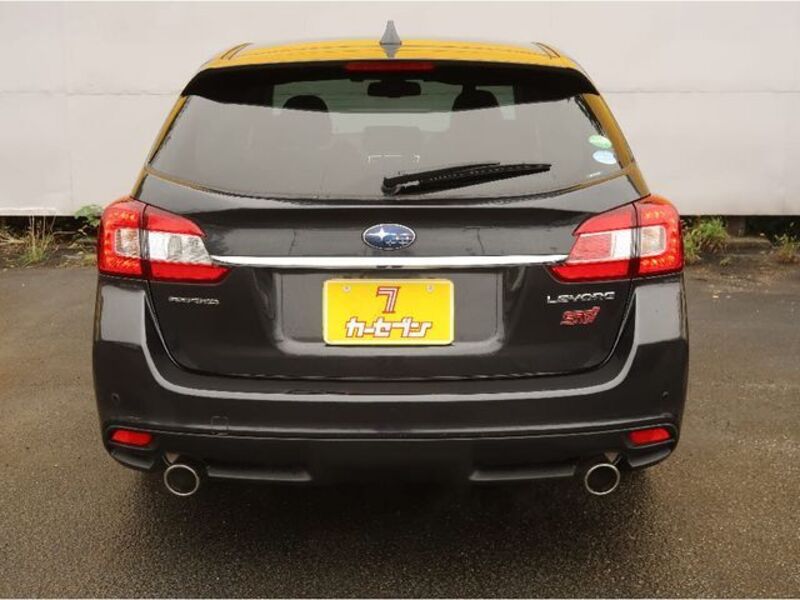 LEVORG