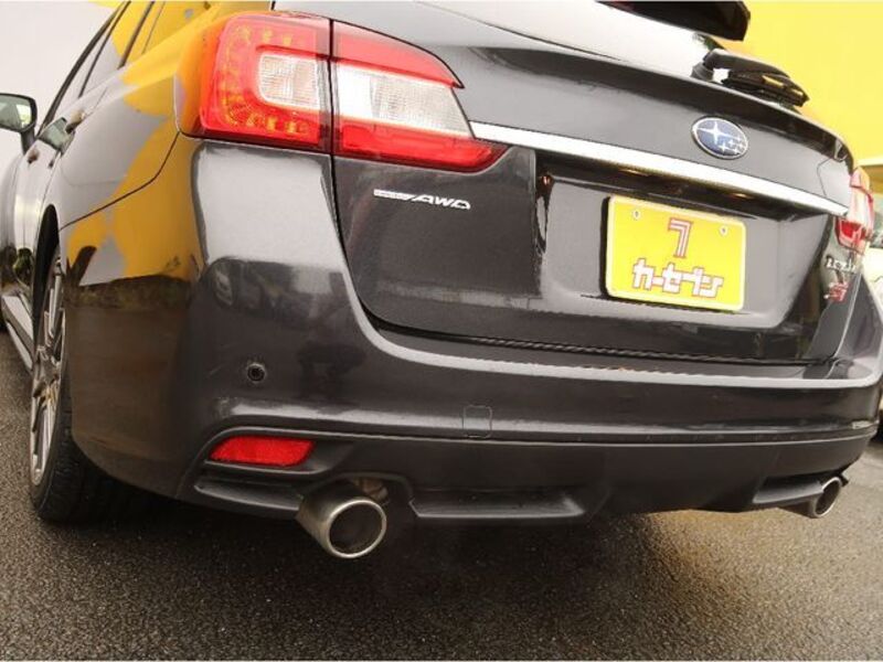 LEVORG