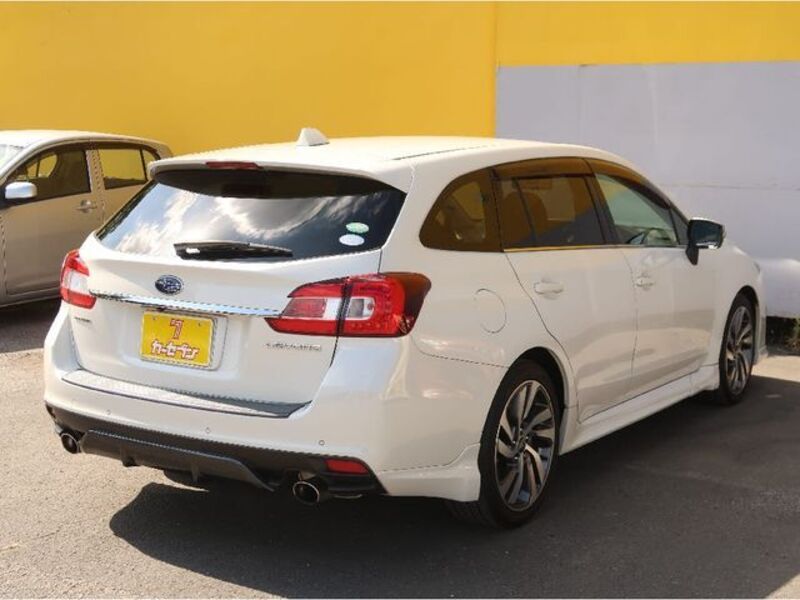 LEVORG