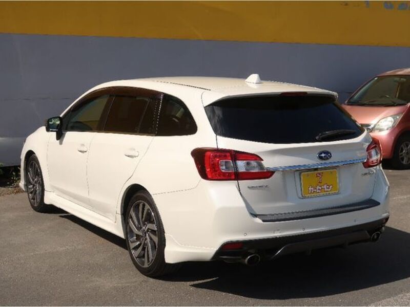 LEVORG