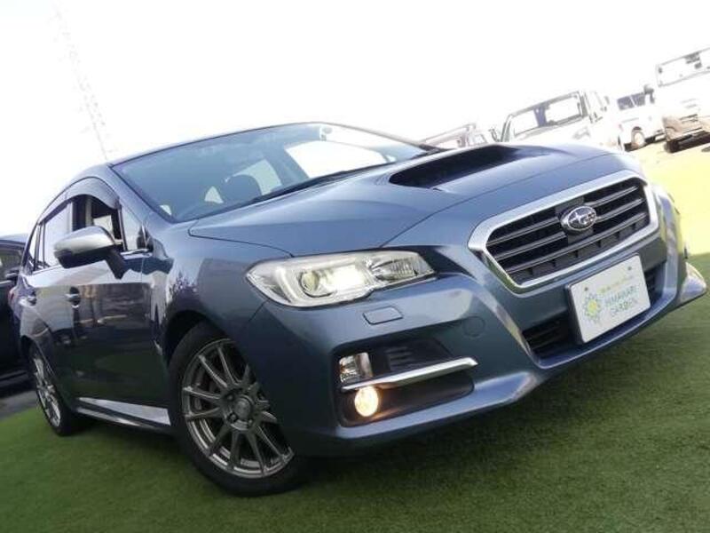 LEVORG