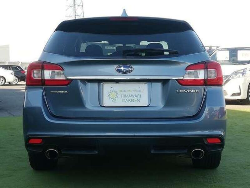 LEVORG