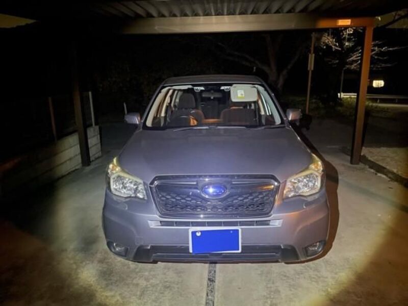 FORESTER-0