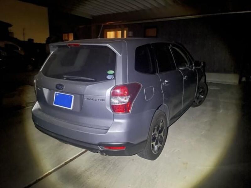 FORESTER